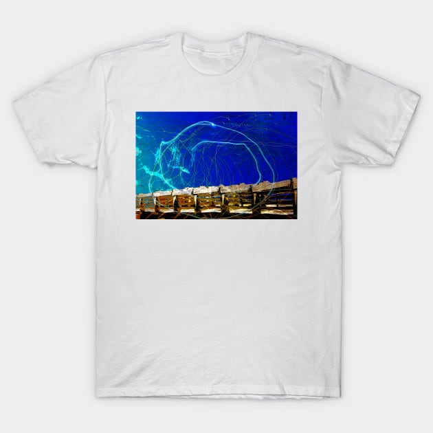 Arctic T-Shirt by Herz40